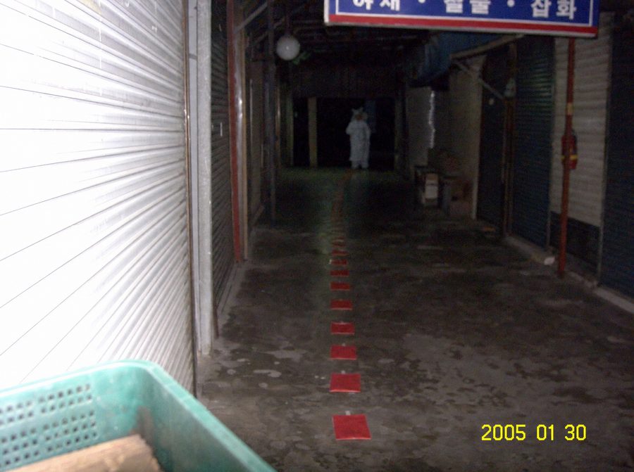 Red Envelope Phantom — recovered photograph