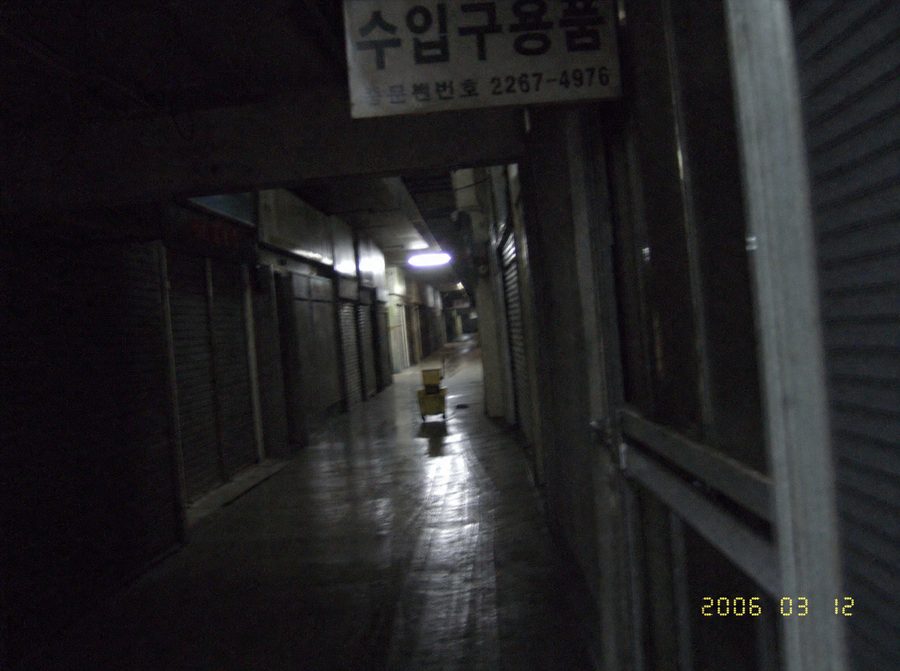 The Janitor — recovered photograph